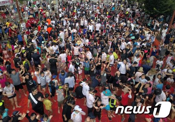 본문 이미지 - 화천 토마토 축제 '황금반지를 찾아라' (뉴스1 DB) ⓒ News1