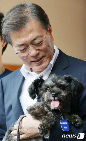 본문 이미지 - (청와대 제공) ⓒ News1