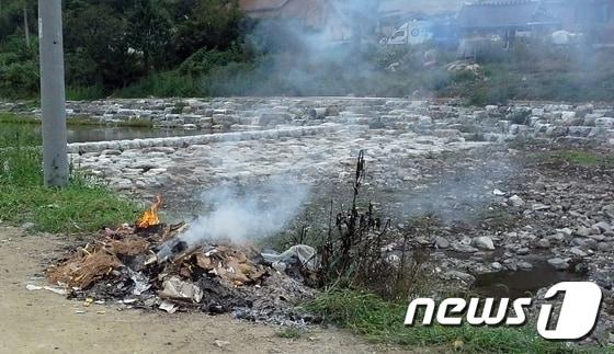 본문 이미지 - 농촌지역 폐기물 불법소각 현장. /뉴스1 DB ⓒ News1 박효익 기자