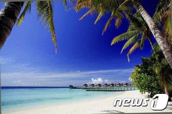 본문 이미지 - 몰디브 센타라 라스푸시 제공ⓒ News1