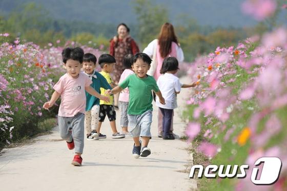 본문 이미지 - (사진은 기사 내용과 무관함) / 뉴스1 ⓒ News1