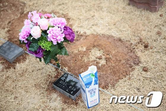 본문 이미지 - 한 살 생일을 보름가량 앞두고 아빠에게 맞아 숨진 희망이(가명)의 묘. 희망이의 장례는 사건을 수사한 경찰이 치렀다. ⓒ News1