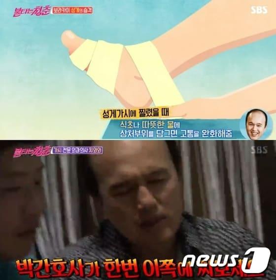 본문 이미지 - '불타는 청춘' ⓒ News1