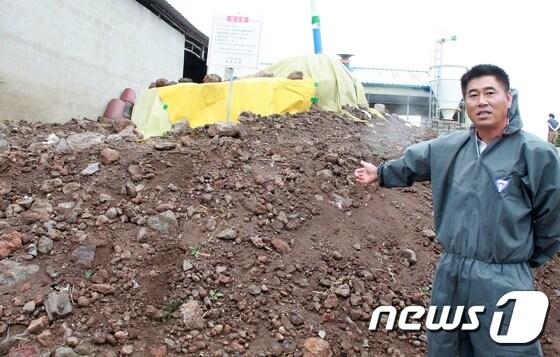 본문 이미지 - 조천병아리농장 대표 김학충씨가 지난 여름 AI 사태 로 자신이 기르던 토종닭 2만3000여 마리가 살처분돼 매장된 무덤 앞에서 당시 상황을 설명하고 있다ⓒ News1