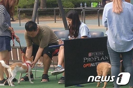 본문 이미지 - 강동구청이 최근 진행한 반려견 문화교실 '서당개'에서 보호자들이 강아지에게 마사지하는 방법을 배우고 있다.ⓒ News1