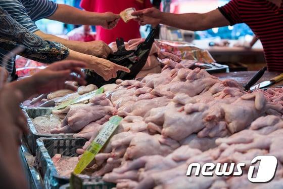 본문 이미지 - 서울 경동시장 내 닭고기 도매상점에 생닭이 진열돼 있다. 2017.9.3/뉴스1 ⓒ News1 유승관 기자