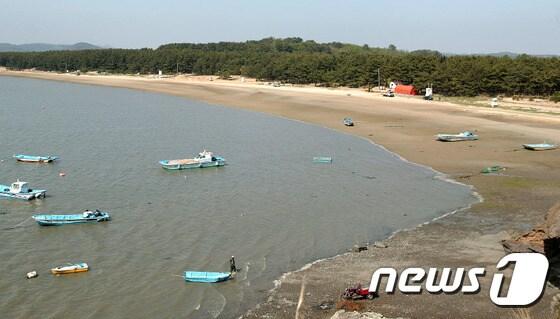 본문 이미지 - 송림숲 전경사진 (한국환경공단 제공) ⓒ News1
