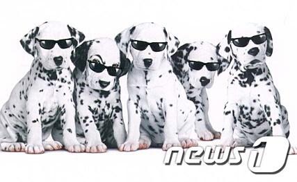 본문 이미지 - 영화 '101달마시안' 스틸 이미지. ⓒ News1