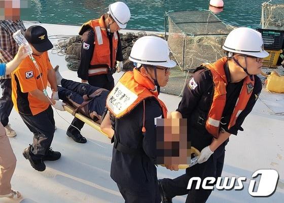 본문 이미지 - 말벌에 쏘인 환자 긴급 이송.(뉴스1/DB)ⓒ News1