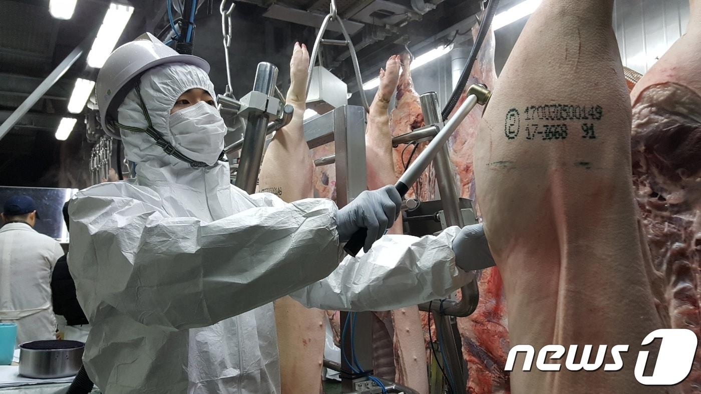 본문 이미지 - 경남도가 설명 연휴까지 한시적으로 축산물 도축을 공휴일에도 연장하는 한편 도내 식육판매점 등을 대상으로 단속 및 위생 점검도 병행해 실시하기로 했다.(경남도 제공) 2018.1.17./뉴스1 ⓒ News1 남경문 기자
