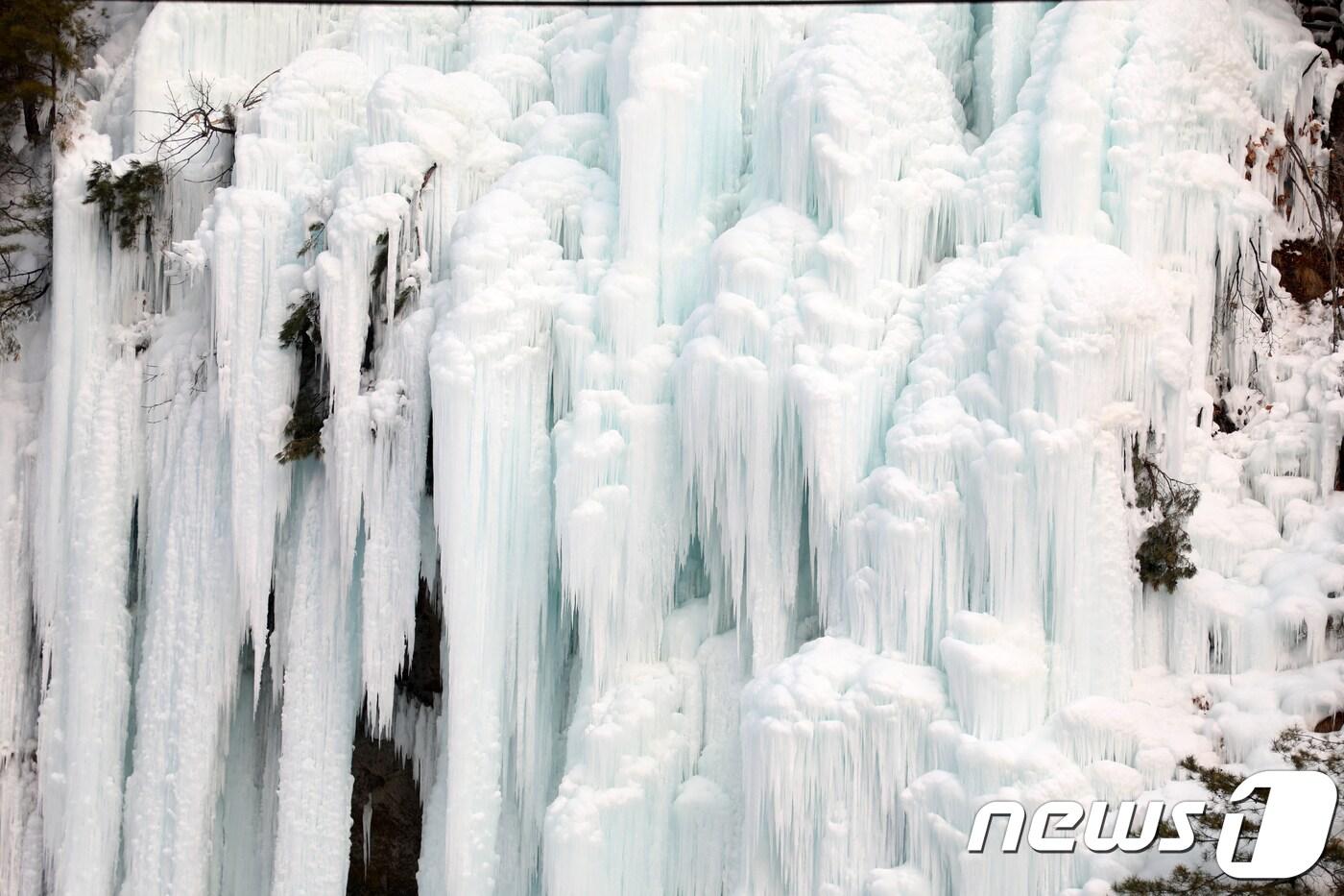 20일 강원 철원군 한탄강 일원에서 2018 철원한탄강얼음트레킹 축제가 개막한 가운데 주상절리에 조성된 얼음빙벽이 웅장한 자태를 뽐내고 있다. 얼음트레킹 코스(약 7㎞)는 태봉대교~승일교~고석정~순담계곡 구간이며 축제는 오는 28일까지 계속된다. 2018.1.20/뉴스1 ⓒ News1 