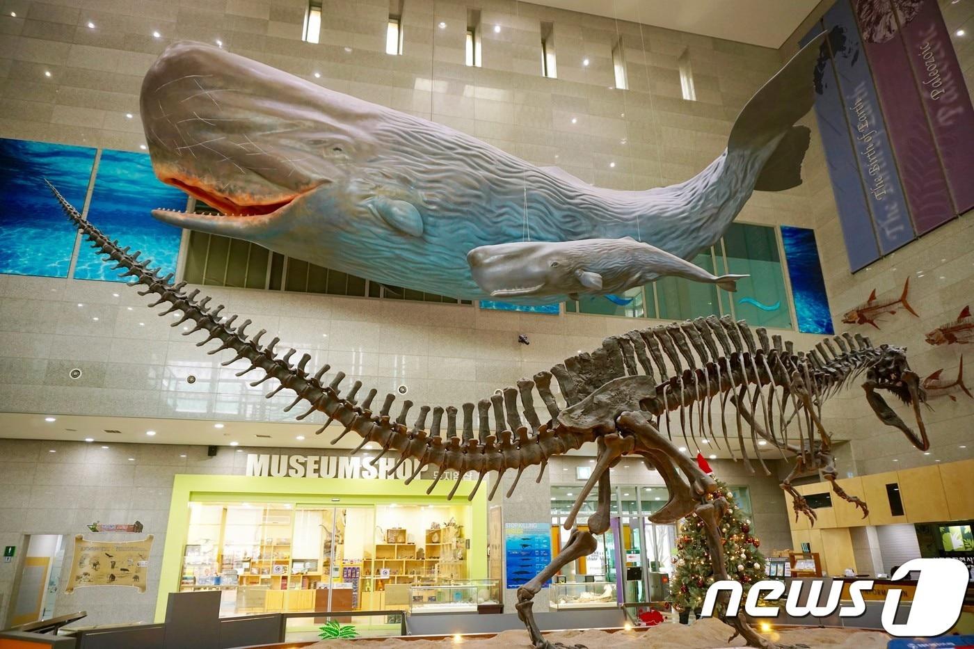 본문 이미지 - 서울 서대문자연사박물관_로비의 아크로칸토사우르스 화석과 향유고래 모형.  이하관광공사 제공 ⓒ News1