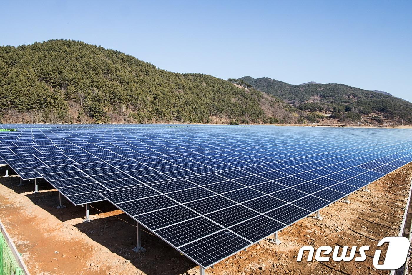 폴리실리콘 18주만에 반등…한숨 돌린 태양광업계 - 뉴스1