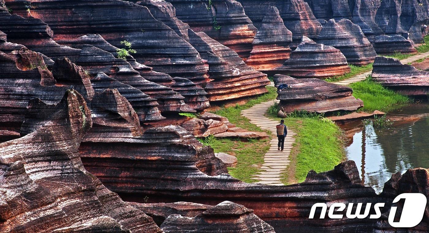 홍스린(홍석림). 보물섬투어 제공ⓒ News1