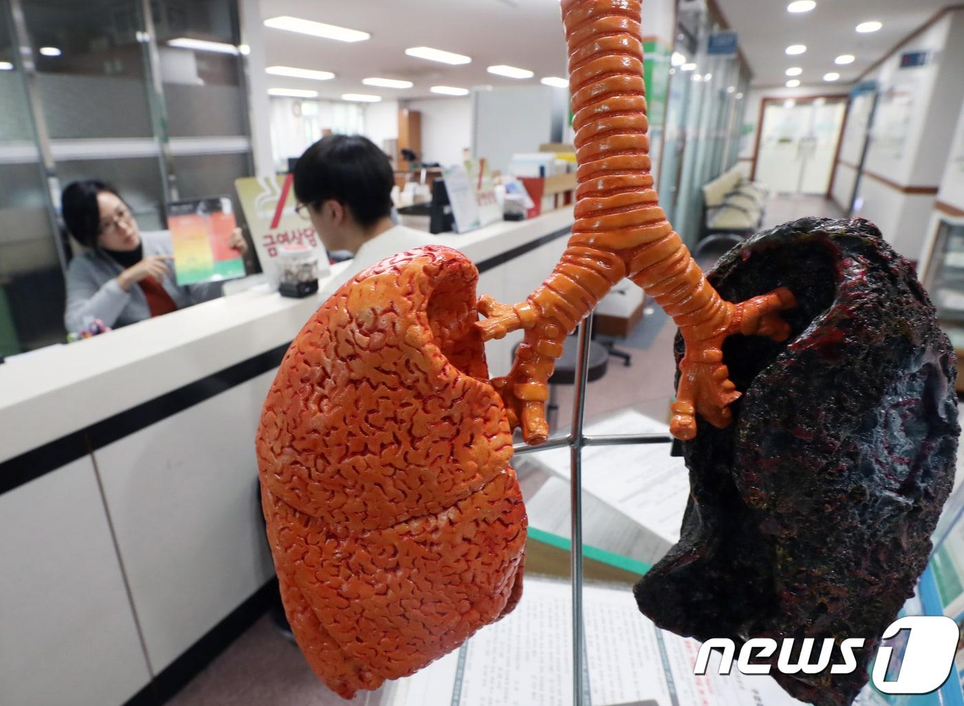 본문 이미지 - 서울의 한 보건소에서 시민이 금연상담을 받고 있다. /뉴스1 ⓒ News1 황기선 기자