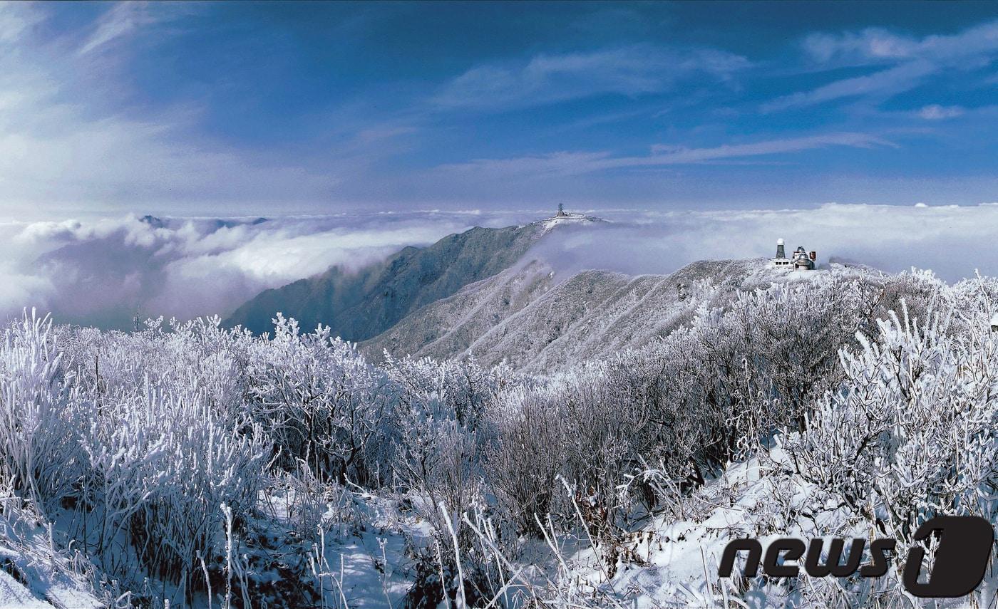 본문 이미지 - 소백산  정상의  설경.ⓒ News1