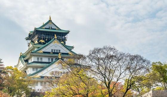 본문 이미지 - 오사카성. 참좋은여행 제공.ⓒ News1