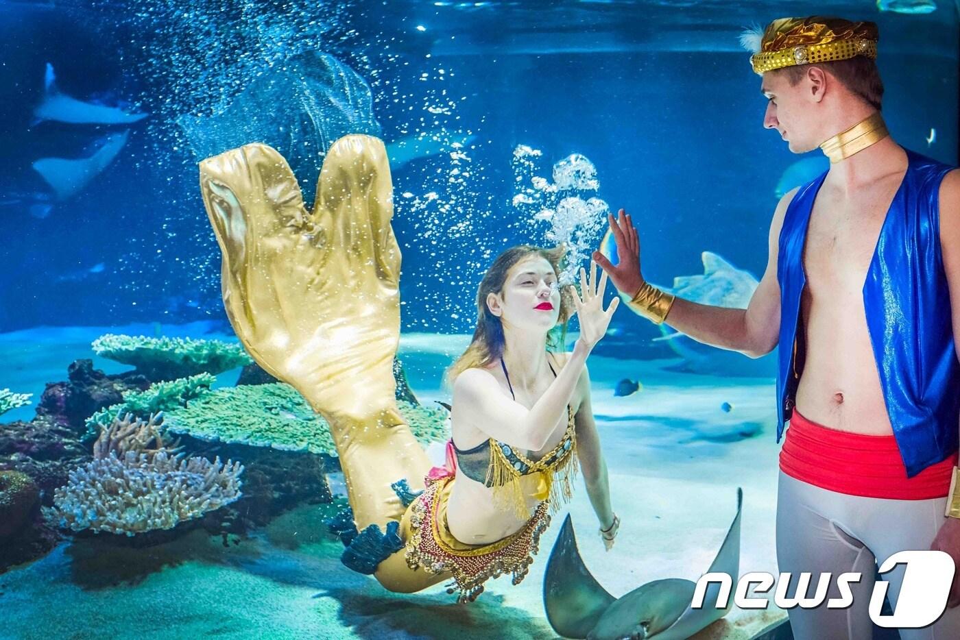 아쿠아플라넷63에서 진행되는 수중 뮤지컬 '알라딘과 인어공주' 공연 모습<한화호텔앤드리조트 사진제공>ⓒ News1