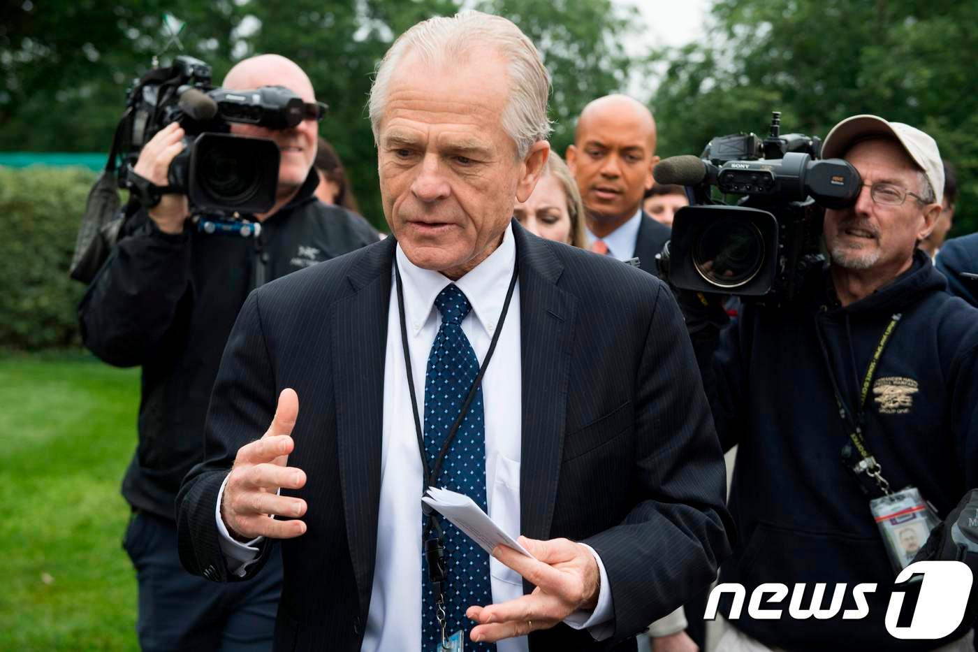 피터 나바로 백악관 국가무역위원회 위원장 ⓒ AFP=뉴스1