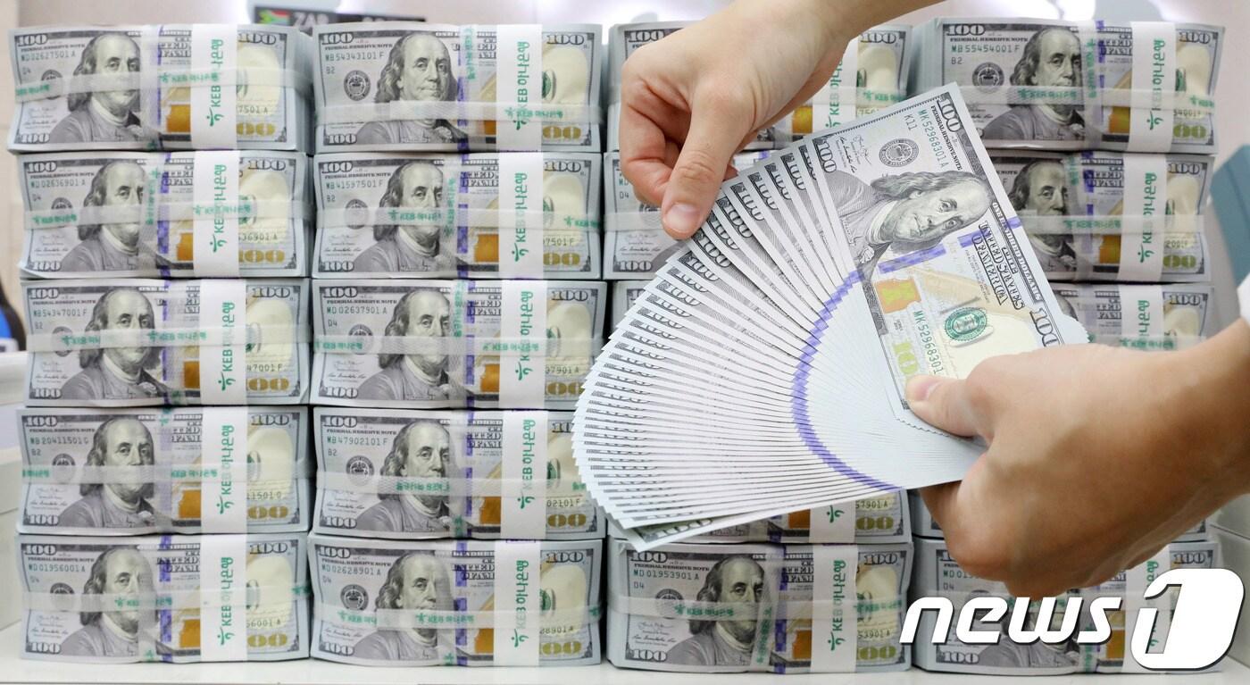 외환당국 작년 하반기 1.87억달러 순매도…환율조작국 위험↓(종합2) - 뉴스1