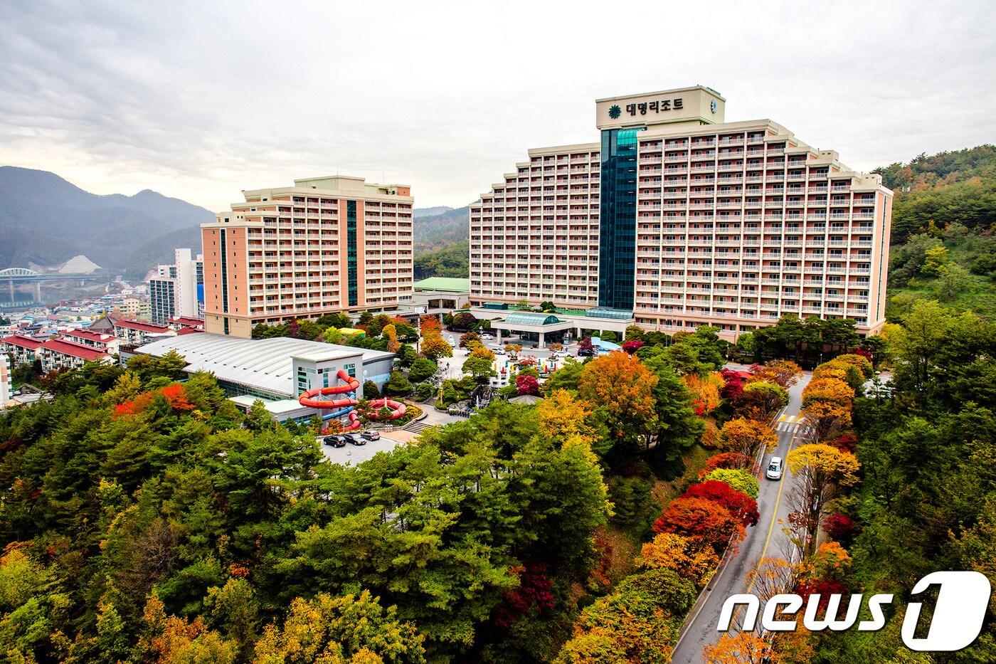 대명리조트 단양(대명리조트 제공)ⓒ News1
