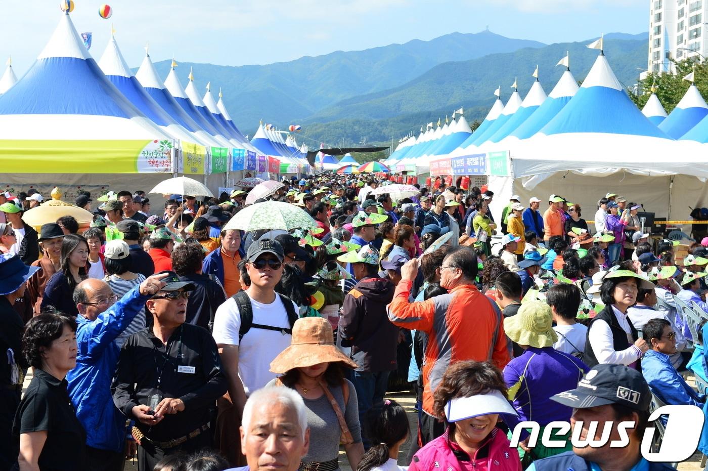 영주풍기인삼축제(영주시 제공) ⓒ News1