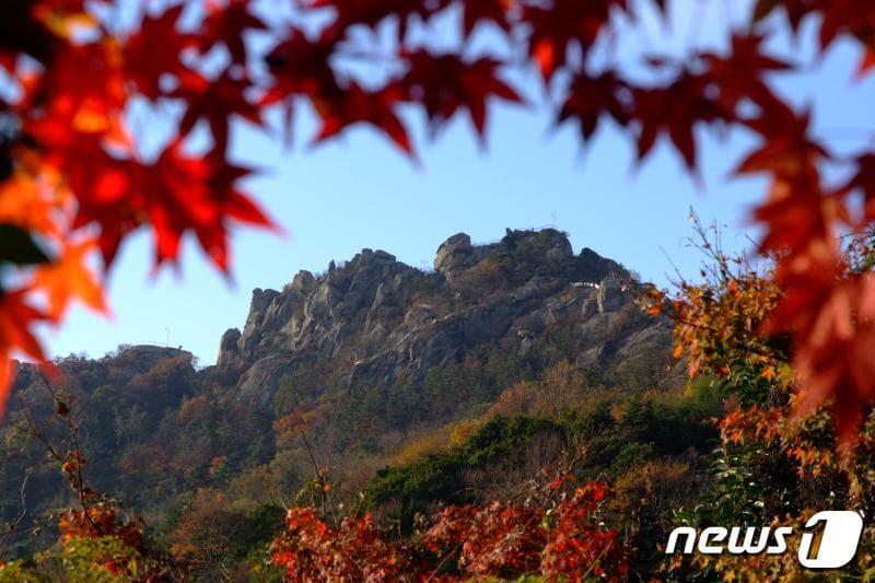본문 이미지 - 가을의 유달산ⓒ News1