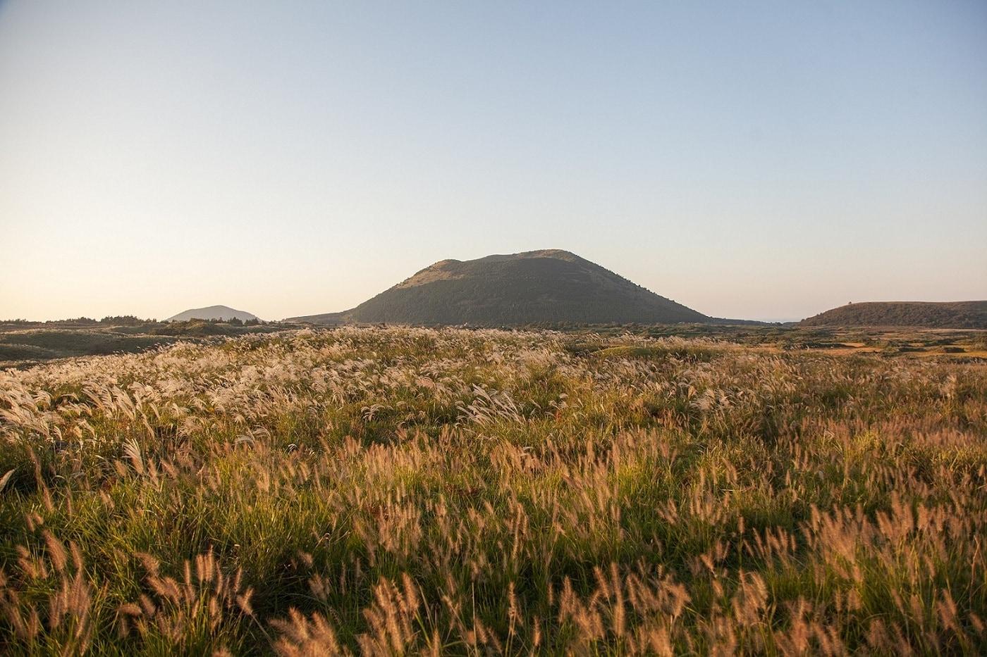 제주 용눈이 오름. 인터파크투어 제공