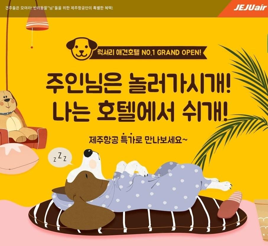 본문 이미지 - 제주항공 제공ⓒ News1