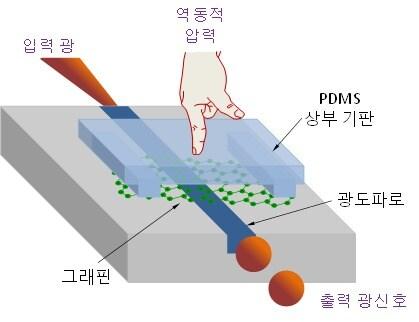 본문 이미지 - 그래핀과 마이크로 광기계 시스템을 활용한 광학식 압력센서 작동 개념도(ETRI 제공)ⓒ News1