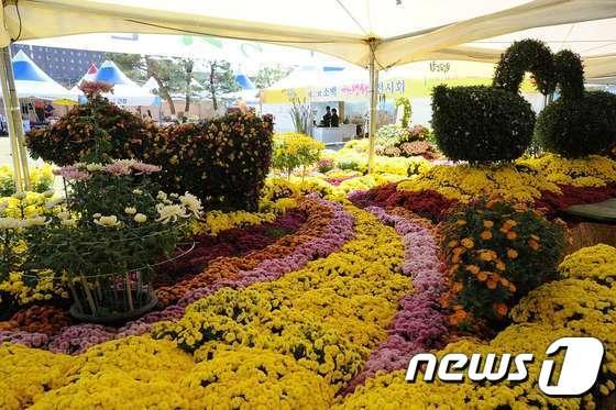 본문 이미지 - 2017년 '대한민국 산림문화 박람회' 모습 ⓒ News1