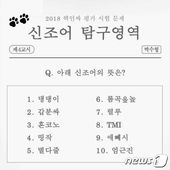 본문 이미지 - 2018년 신조어 테스트(SNS 갈무리)ⓒ News1
