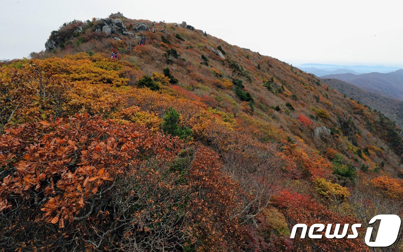 전북 무주군 덕유산 향적봉 /뉴스1