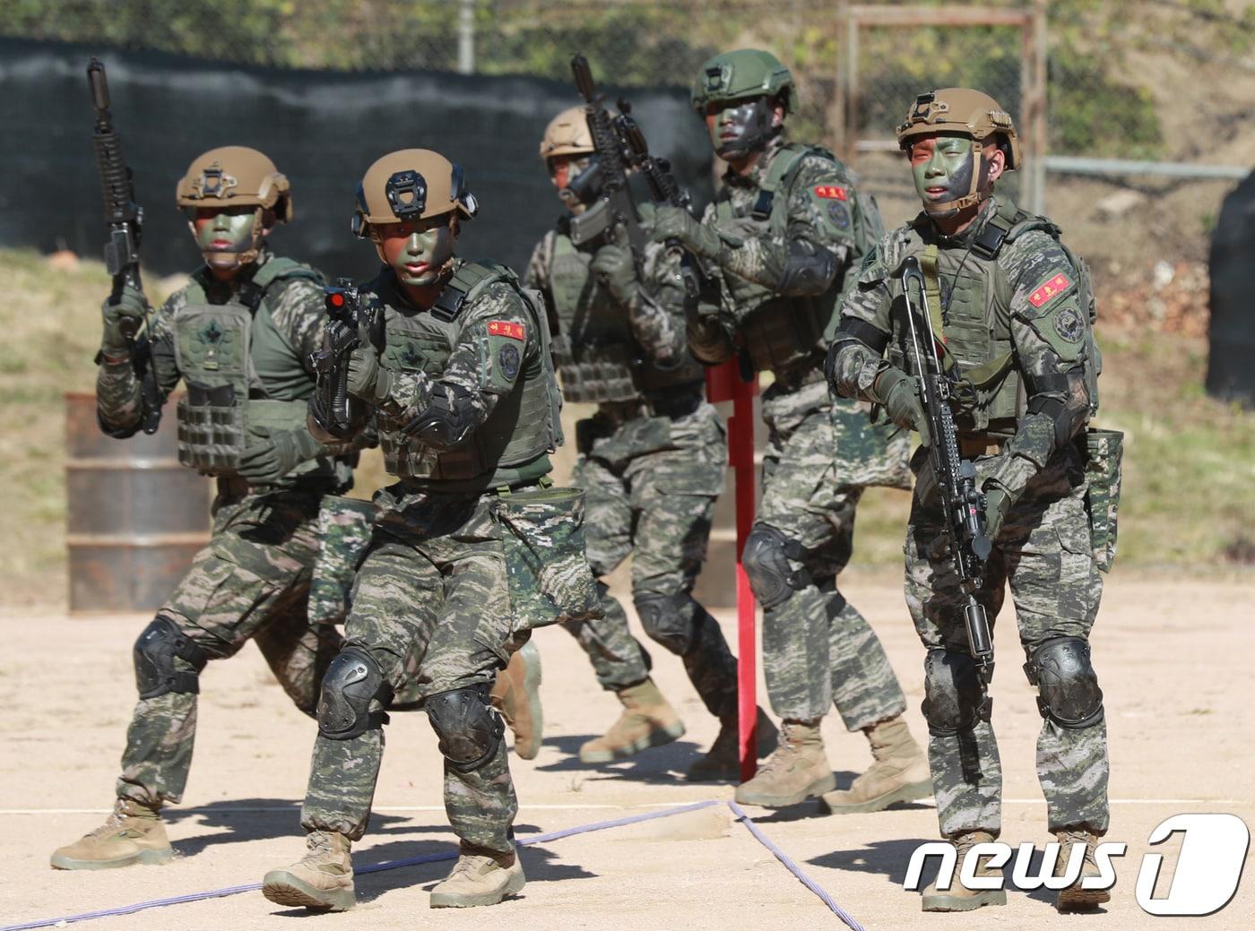 본문 이미지 - 해병대원들 훈련 모습(기사와는 무관) ⓒ News1