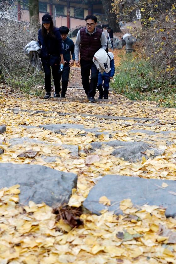 본문 이미지 - 자료사진./뉴스1