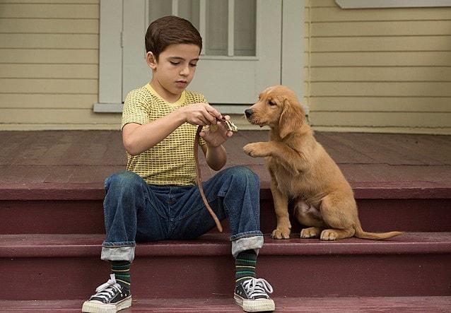 본문 이미지 - 영화 베일리 어게인 스틸 이미지. ⓒ News1