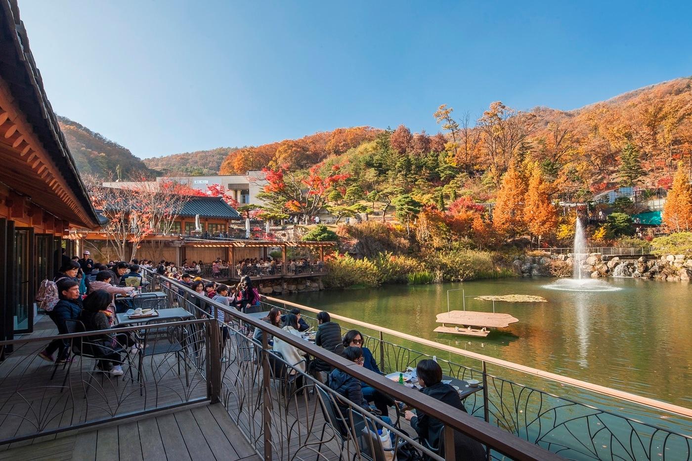 가을의 화담숲 풍경