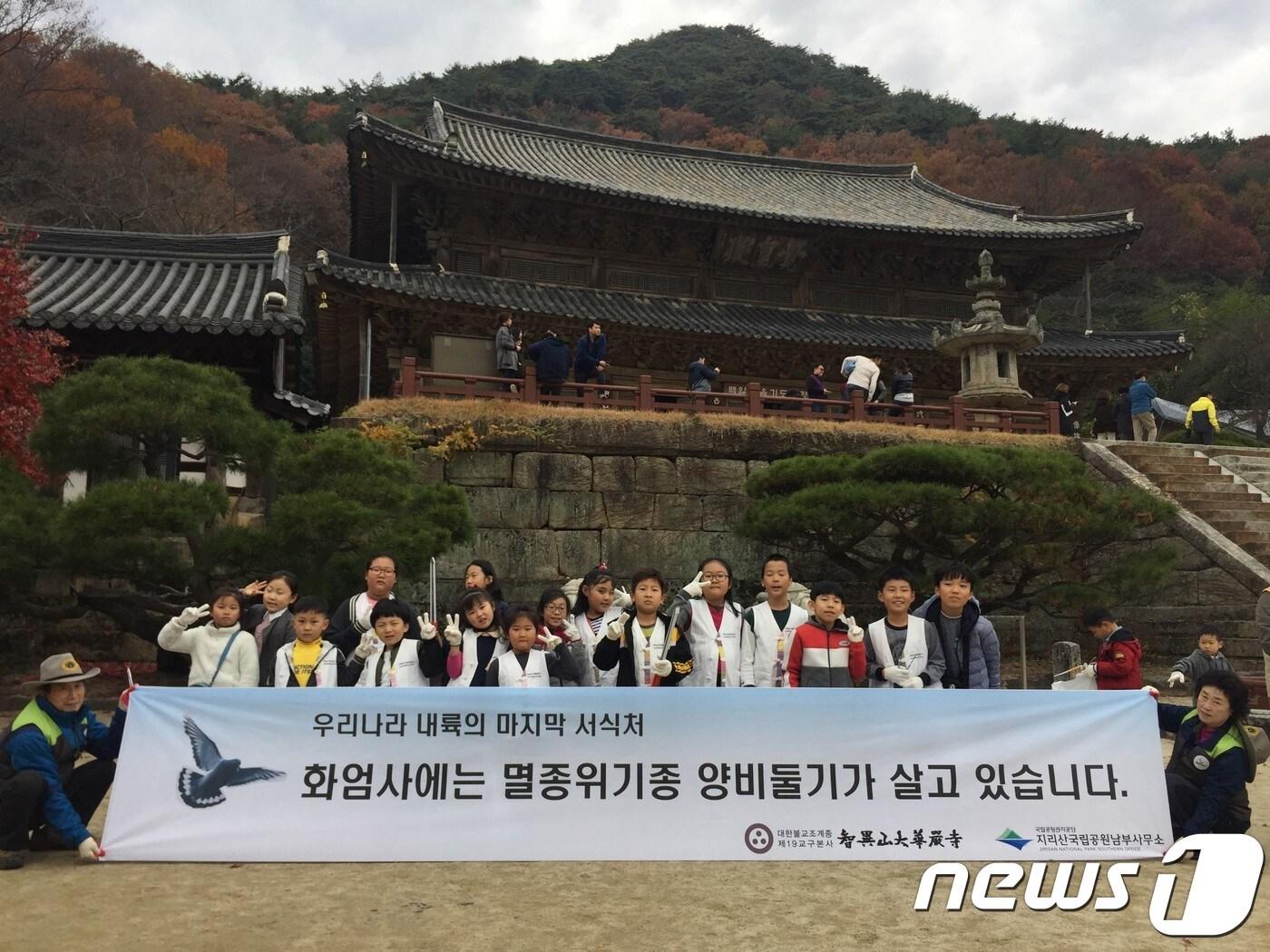 본문 이미지 - 양비둘기 보전활동.&#40;지리산남부사무소 제공&#41;/뉴스1 ⓒ News1