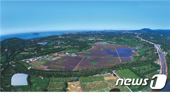 본문 이미지 - 제주 하논분화구 /뉴스1