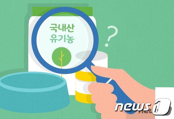 본문 이미지 - ⓒ News1 방은영 디자이너