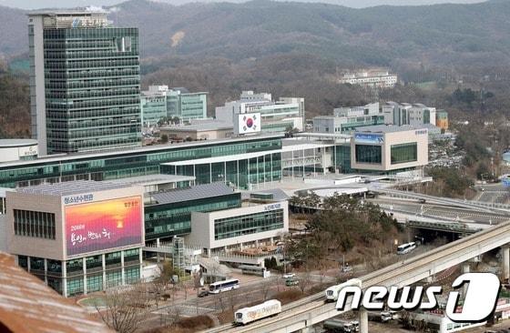 본문 이미지 - 용인시청(뉴스1 DB)ⓒ News1