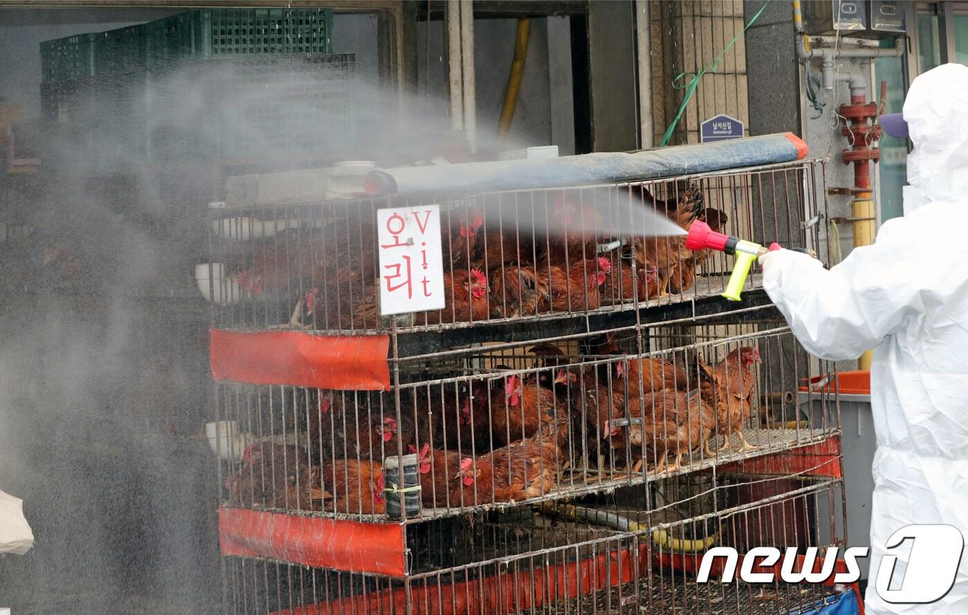 본문 이미지 - /뉴스1 DB ⓒ News1 문요한 기자