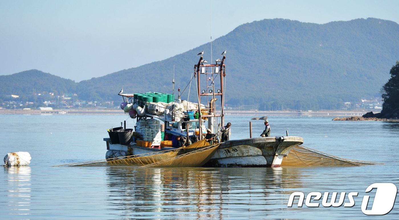 본문 이미지 - 새우잡이 어선(뉴스1 DB)