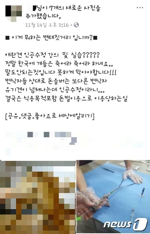 본문 이미지 - 개들의 인공수정 방법을 강의하는 업체가 있어 논란이 되고 있다.(사진 SNS 캡처)ⓒ News1