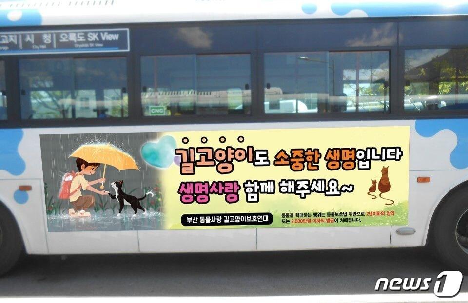 본문 이미지 - 11월22일부터 2개월간 부산에서 운행하는 77번 버스와 131번 버스에 '길고양이 공존' 캠페인 광고가 붙는다.(사진 부산 동물사랑 길고양이보호연대 제공)ⓒ News1