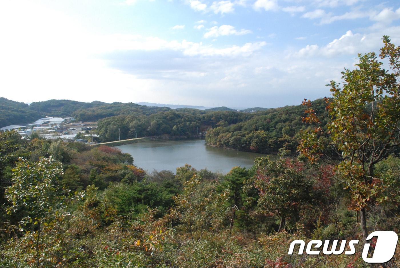 본문 이미지 - '북부산림청 조망점(Vista Point) 10곳' 중 경기도 안산시 단원구 대부북동에 위치한 대부도뻐국산도시숲(북부산림청 제공) ⓒ News1 노정은 기자