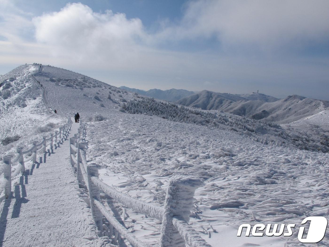 본문 이미지 - 겨울의  소백산 풍경.ⓒ News1