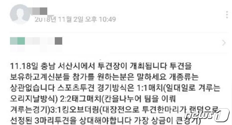 본문 이미지 - 서산에서 투견판을 벌인다는 글이 한 커뮤니티 사이트에 올라와 논란이 됐다.(사진 SNS 캡처)ⓒ News1