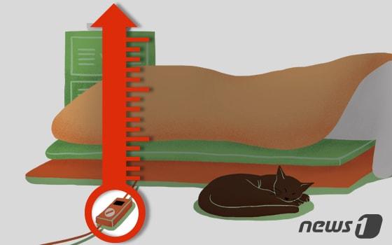 본문 이미지 - ⓒ News1 DB