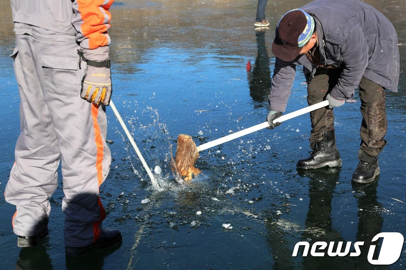 본격적인 겨울 추위가 찾아온 11일 오전 강원도 평창군 평창강 얼음 위에서 마을주민들이 전통 낚시 방법인 떡메치기와 작살을 이용해 물고기를 잡고 있다.2018.12.11/뉴스1 ⓒ News1 권혜민 기자